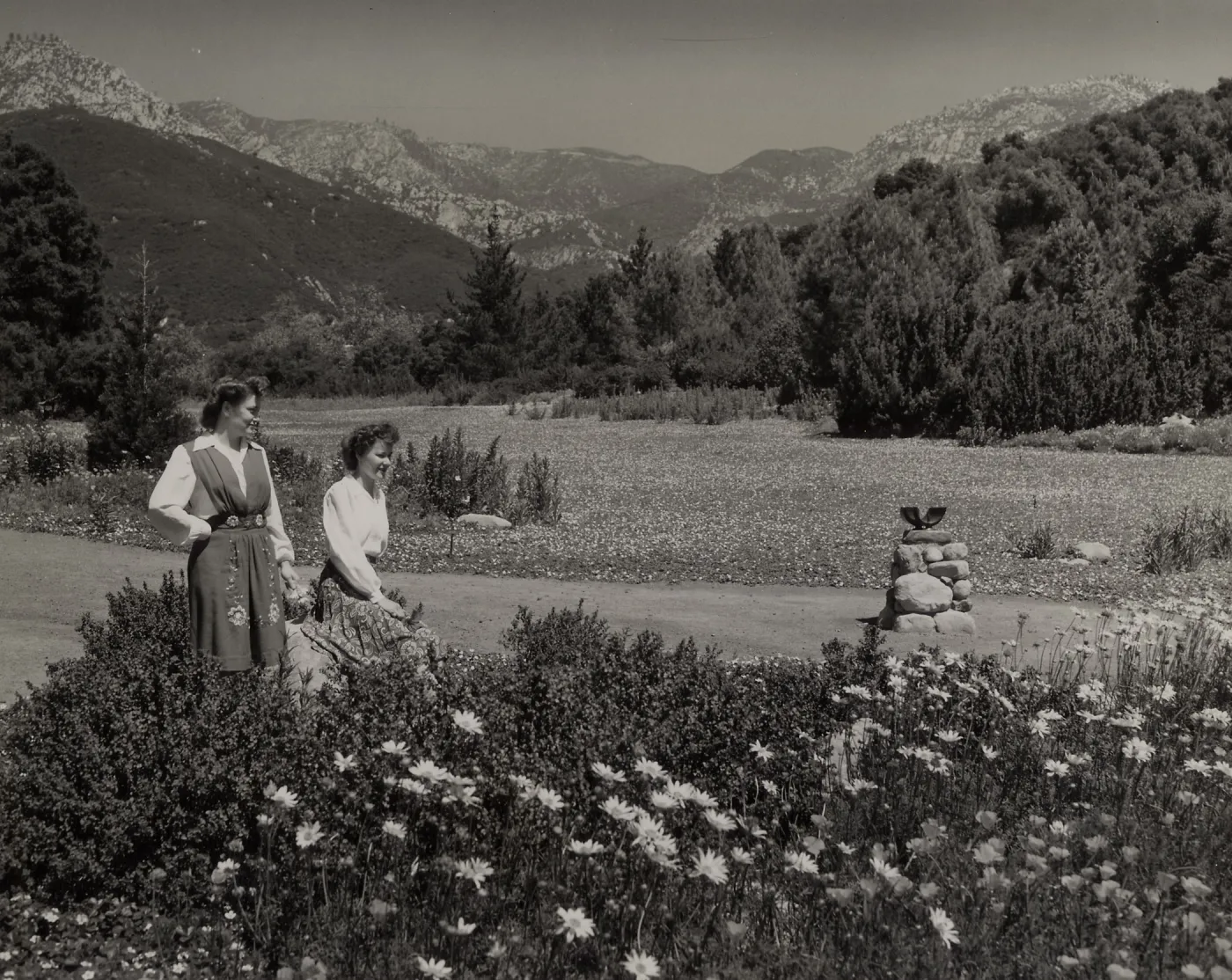 Strawberry Meadow, © Josef Muench