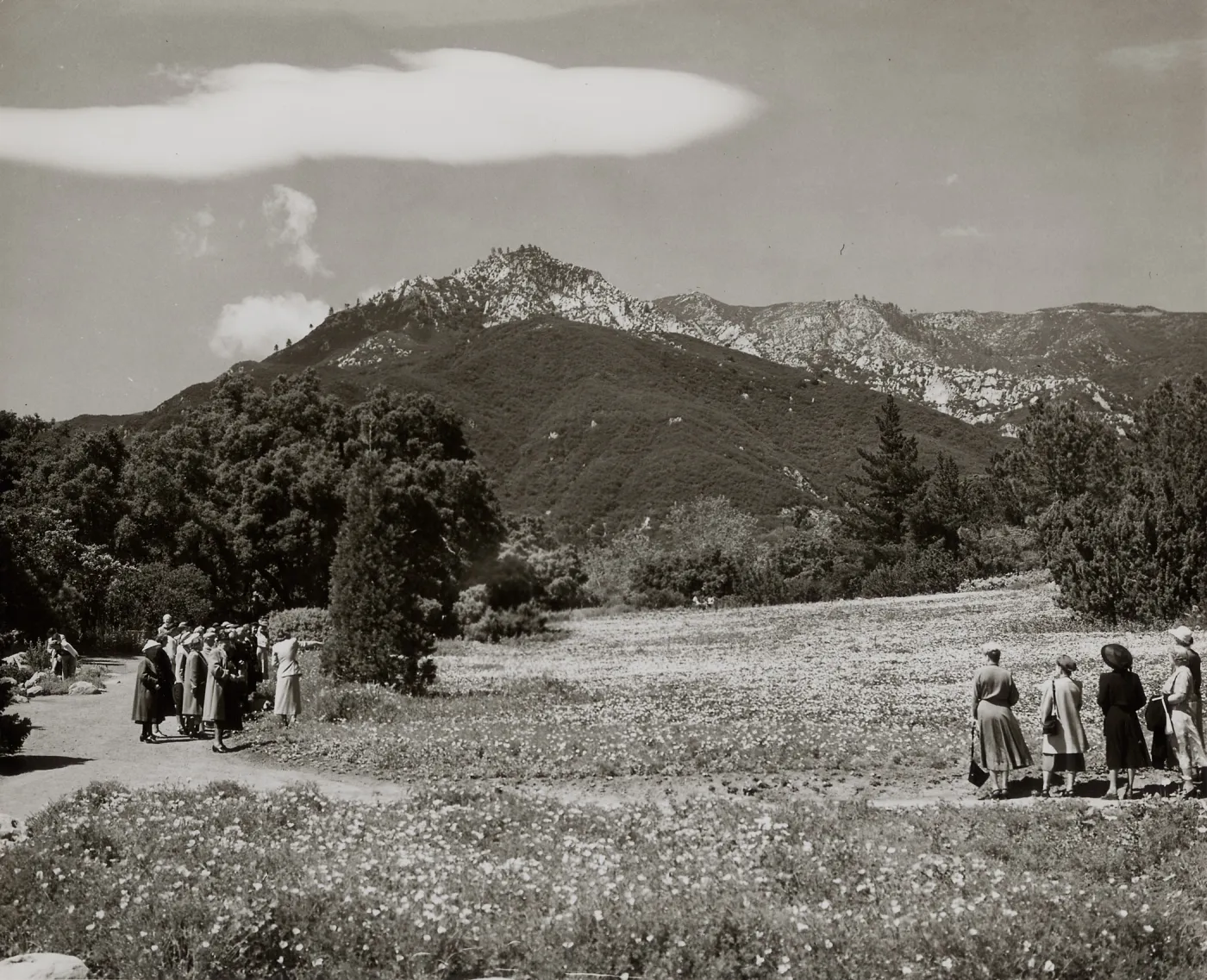 SBBG Meadow, mountain view, Little Gardens Club