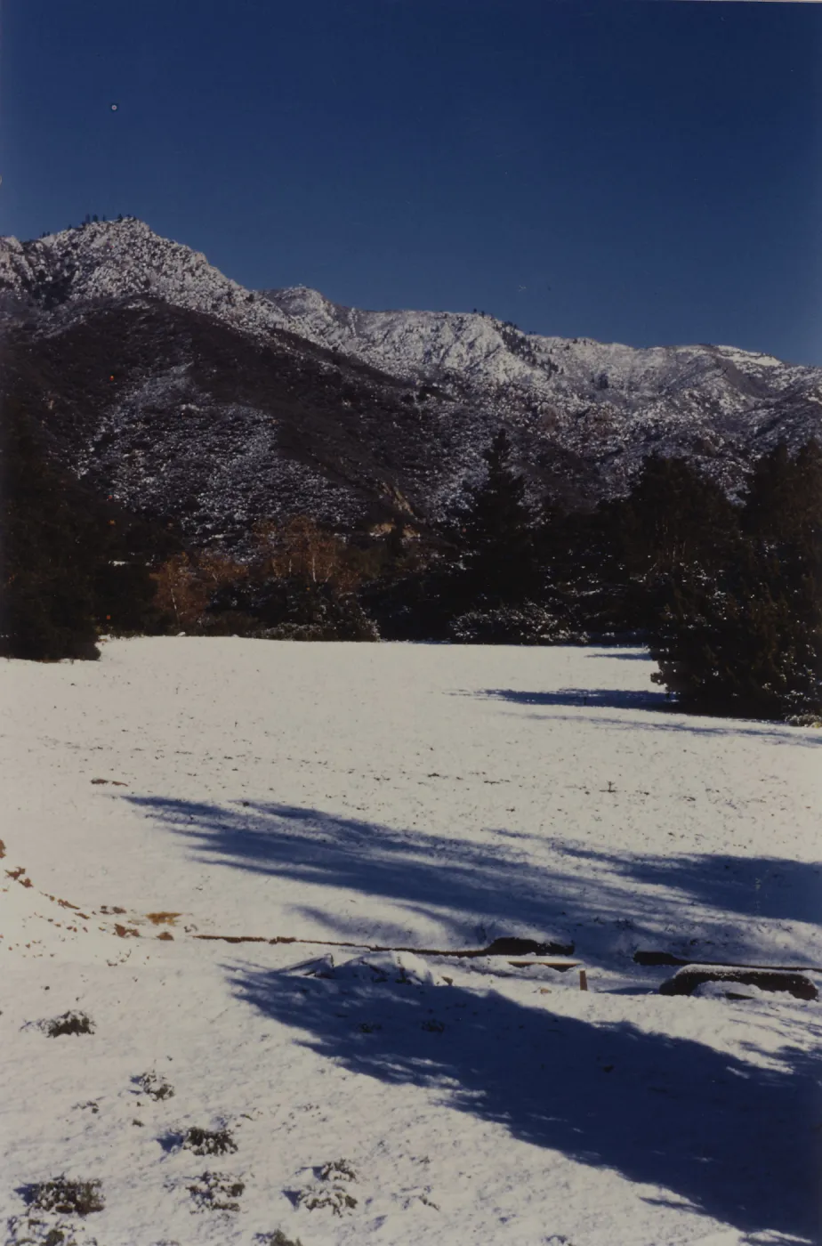 SBBG, Snow in the Meadow, mountain view