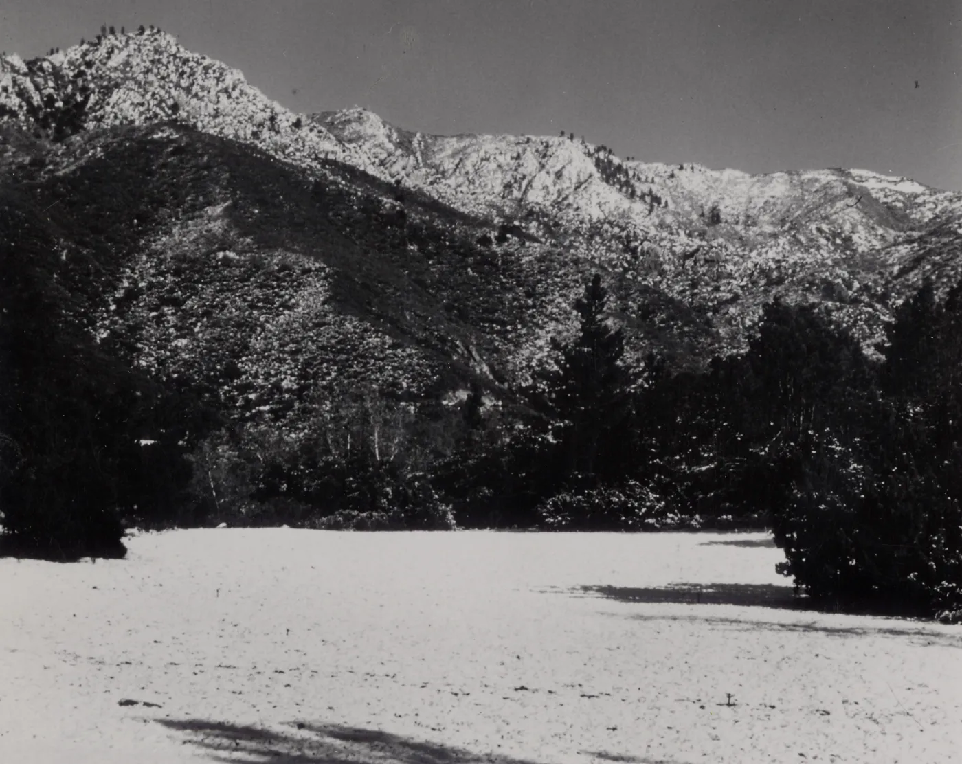 SBBG, Snow in the Meadow, Mountain view