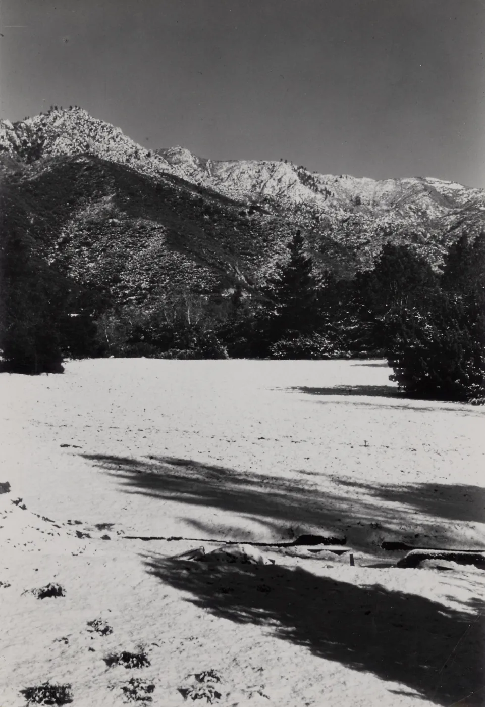 SBBG, Snow in the Meadow, Mountain view