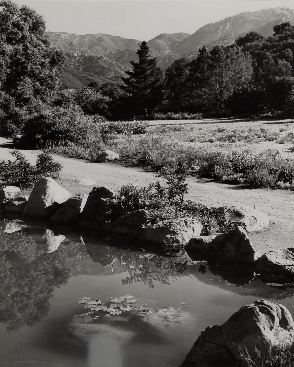 SBBG, Meadow Path and Pond, mountain view