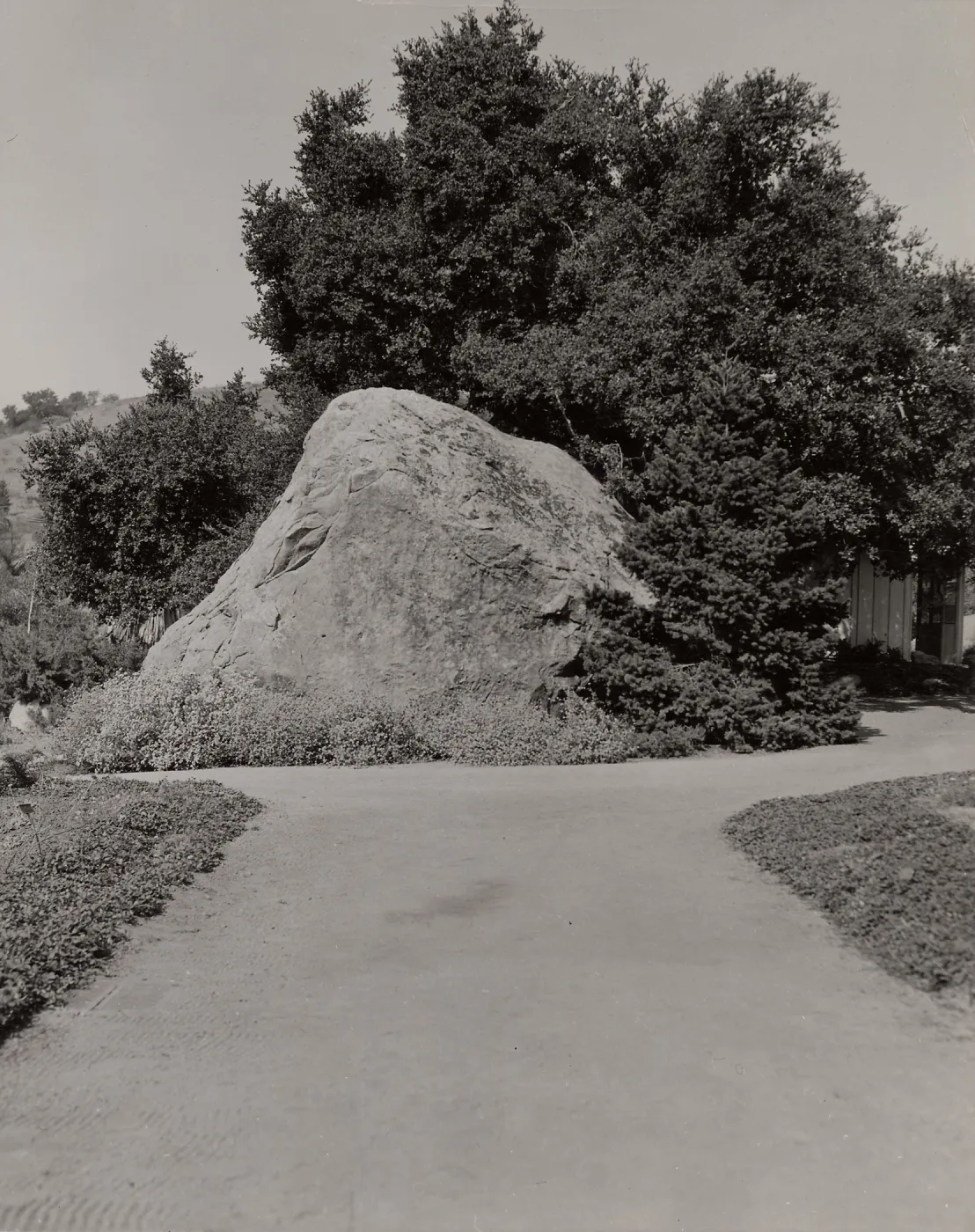 SBBG, Blaksley Boulder (with Tunnel Road hillside behind)
