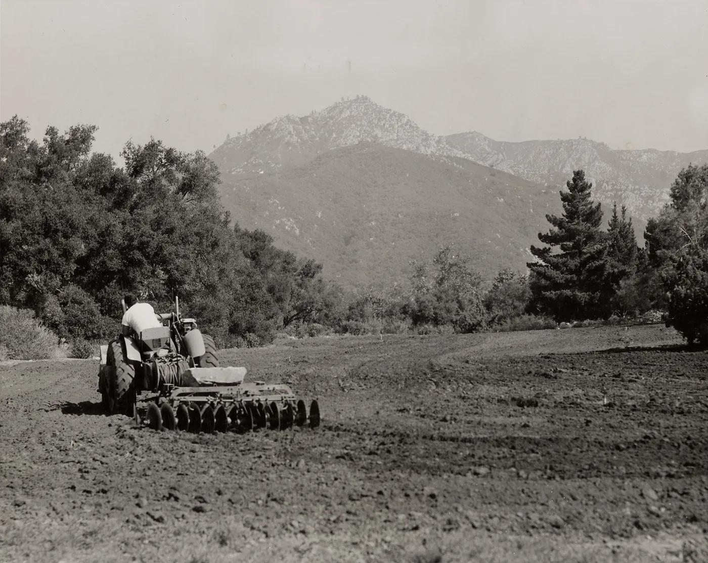 SBBG, Tractor discing the Meadow, 1953 Drought
