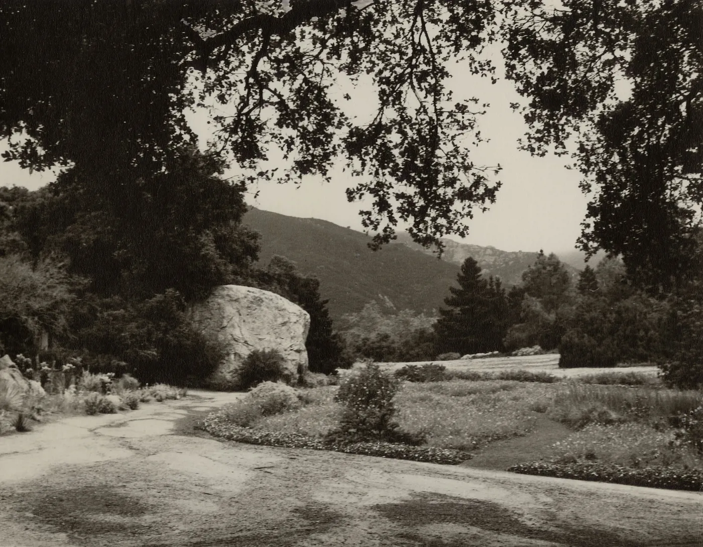 SBBG entrance view to Meadow and mountains