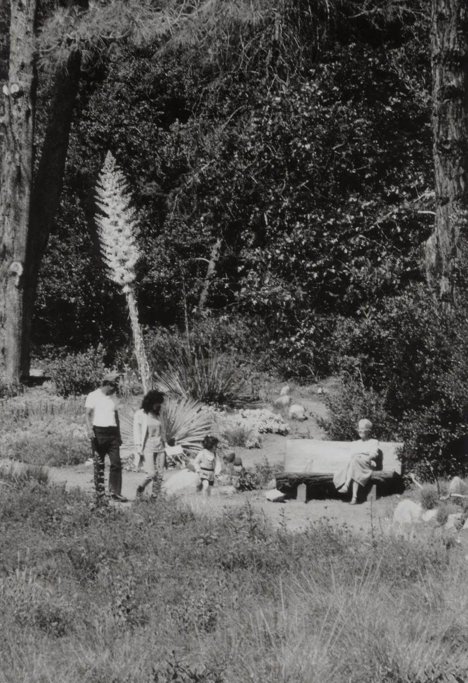 visitors enjoy the Meadow, wood bench