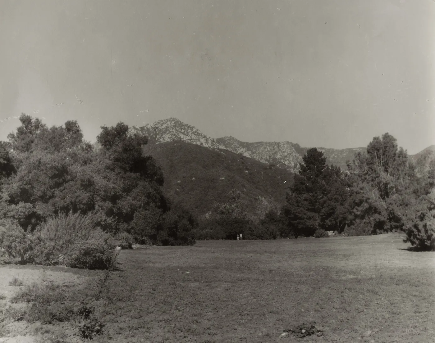 SBBG Meadow, mountain view
