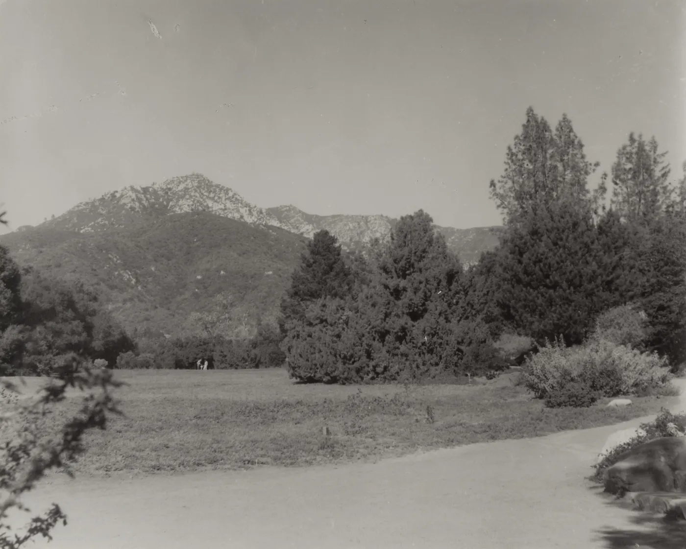 SBBG Meadow, mountain view