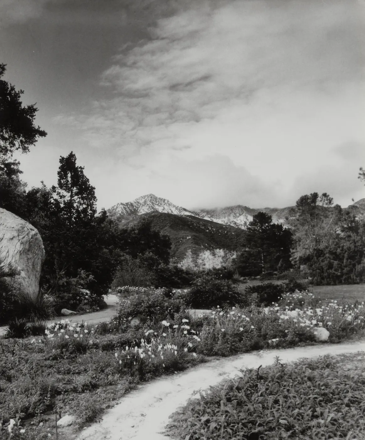 SBBG Meadow and mounatin view