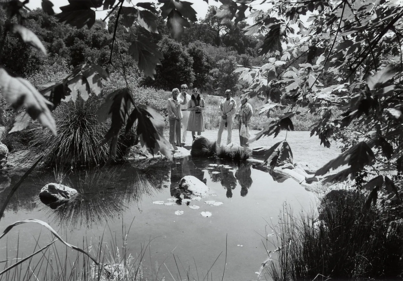 Visitors learn about pond plants from docent Dorothea Fox as they tour the meadow of SBBG