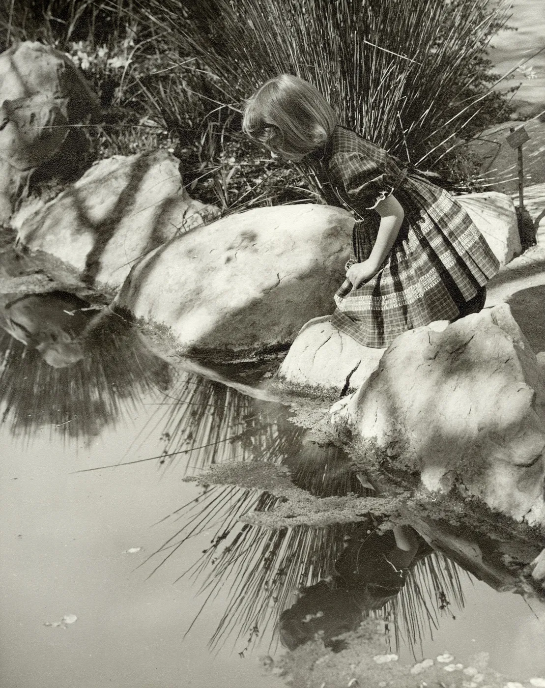 girl gazing into Pond