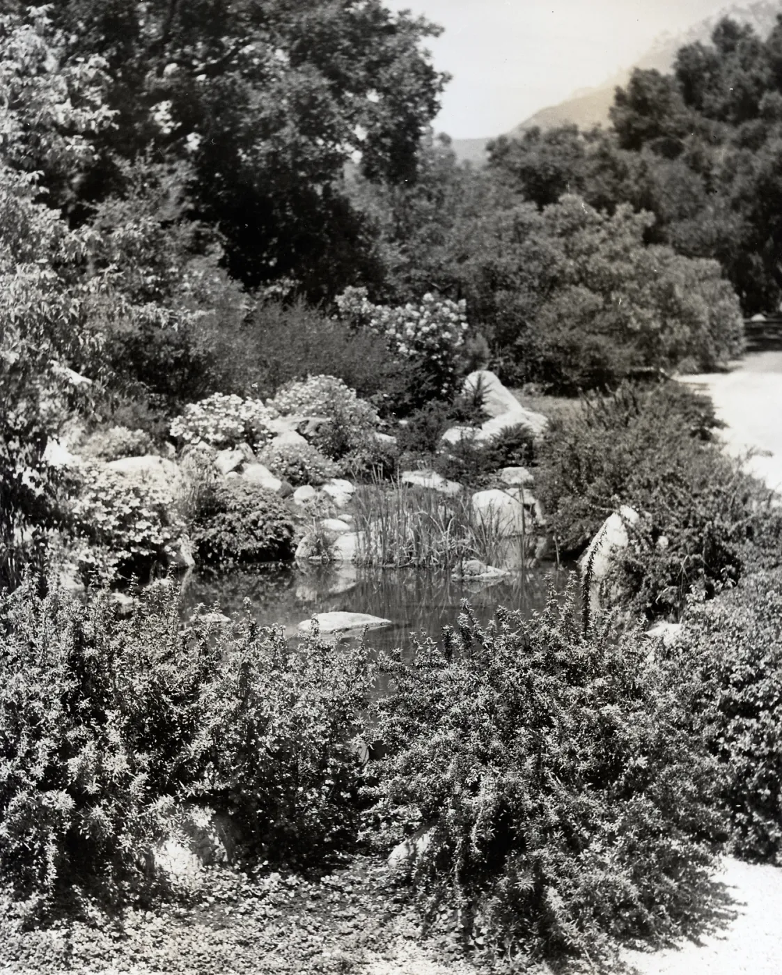 Garden pond near the Meadow, this pond was built in 1930 to commemorate Mrs. Bissel's birthday'