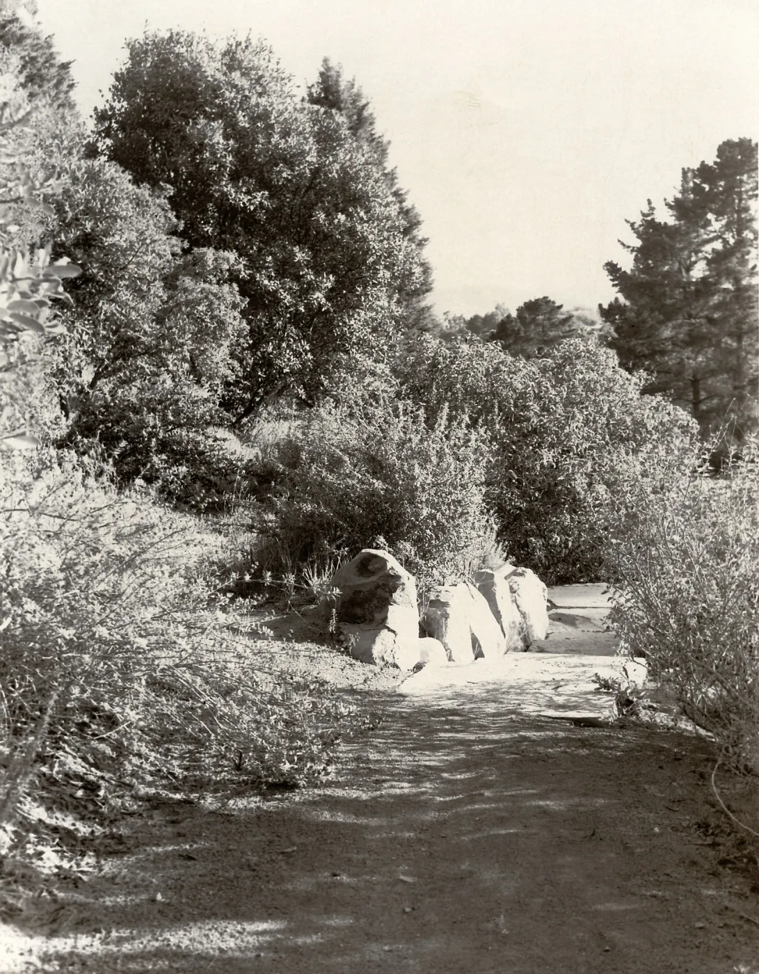 Porter Trail