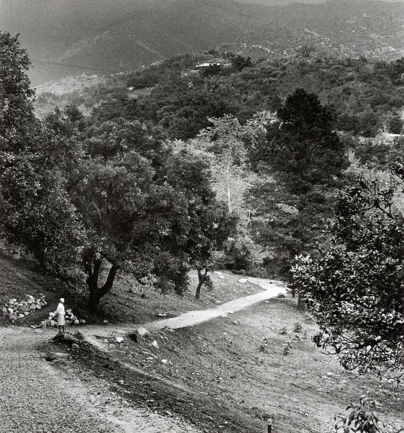 Island Section, SBBG