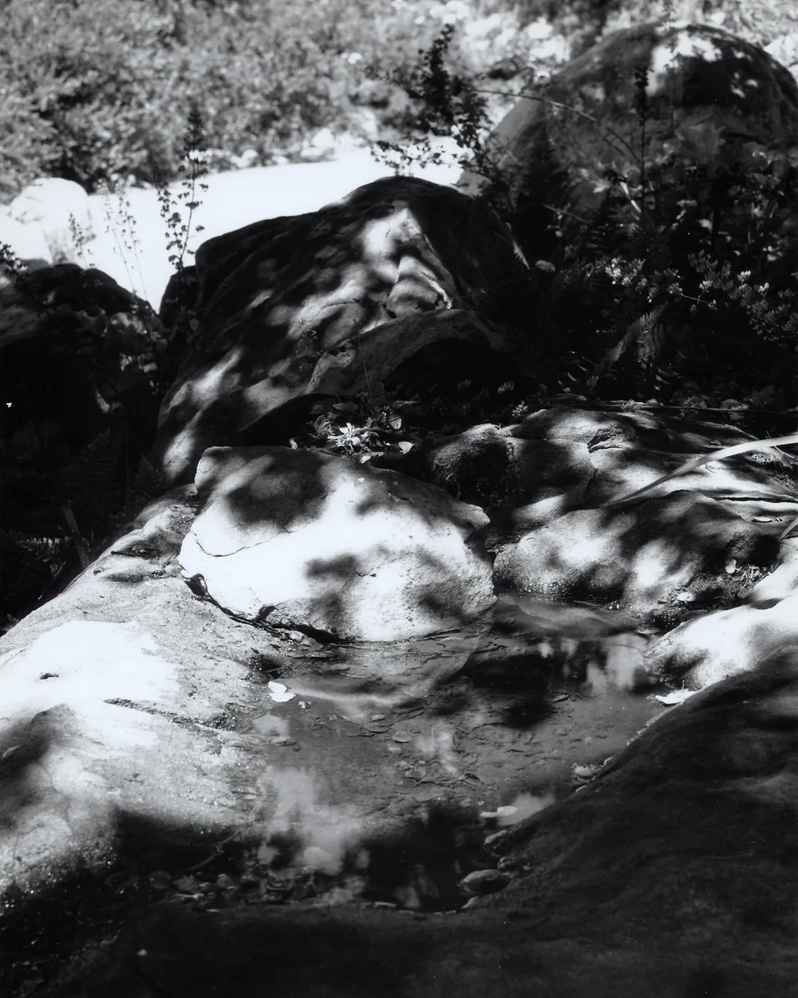 Pool of water on boulder