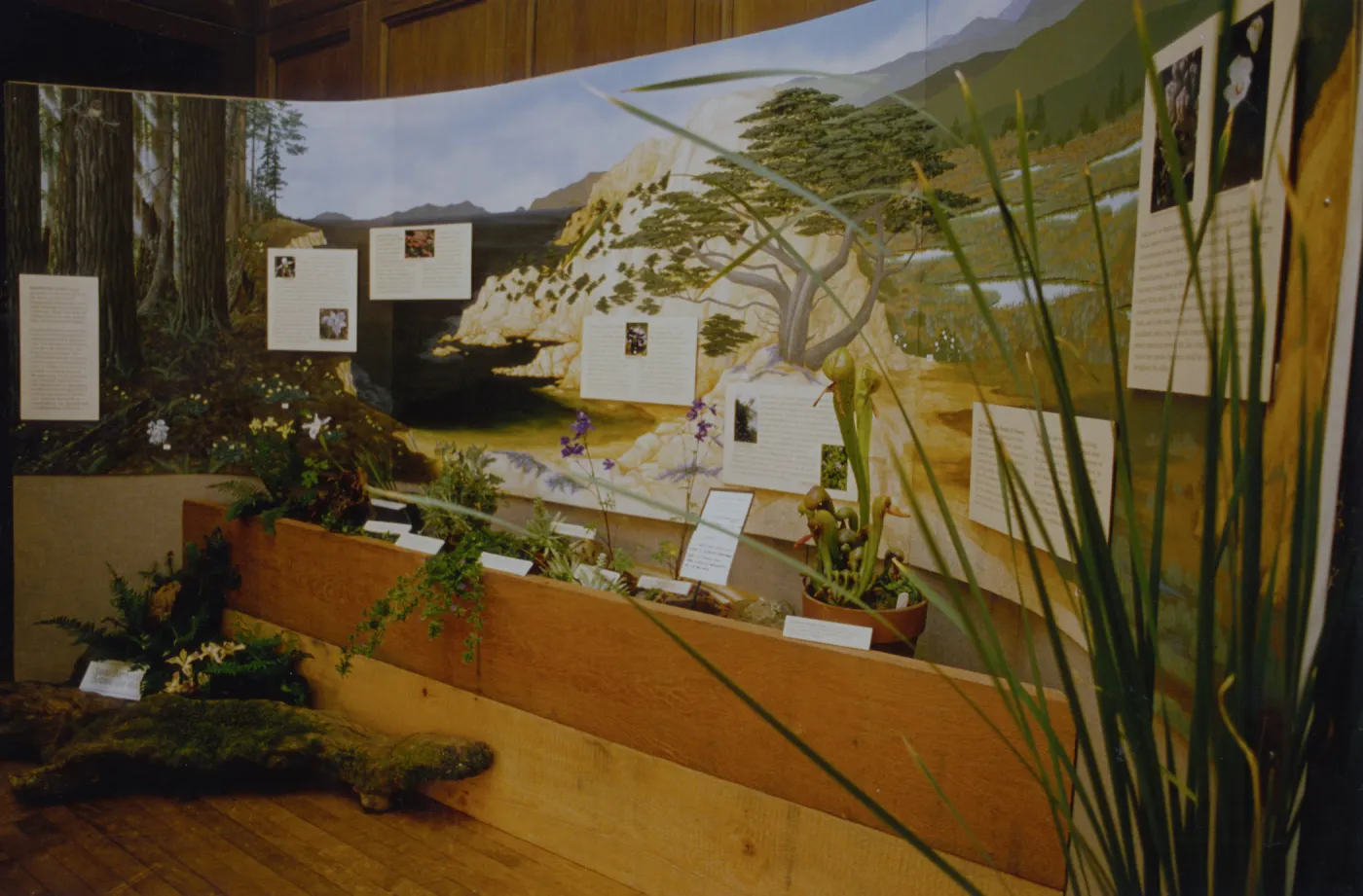 Exhibit: Treasures of the Flora