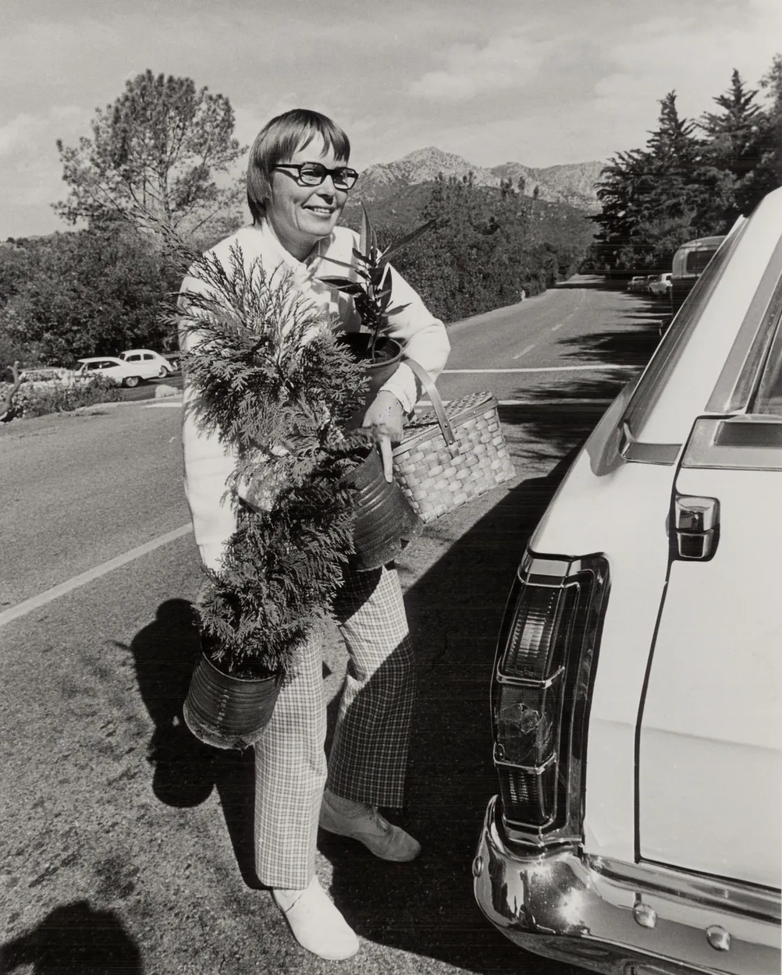 Plant Sale, 1972