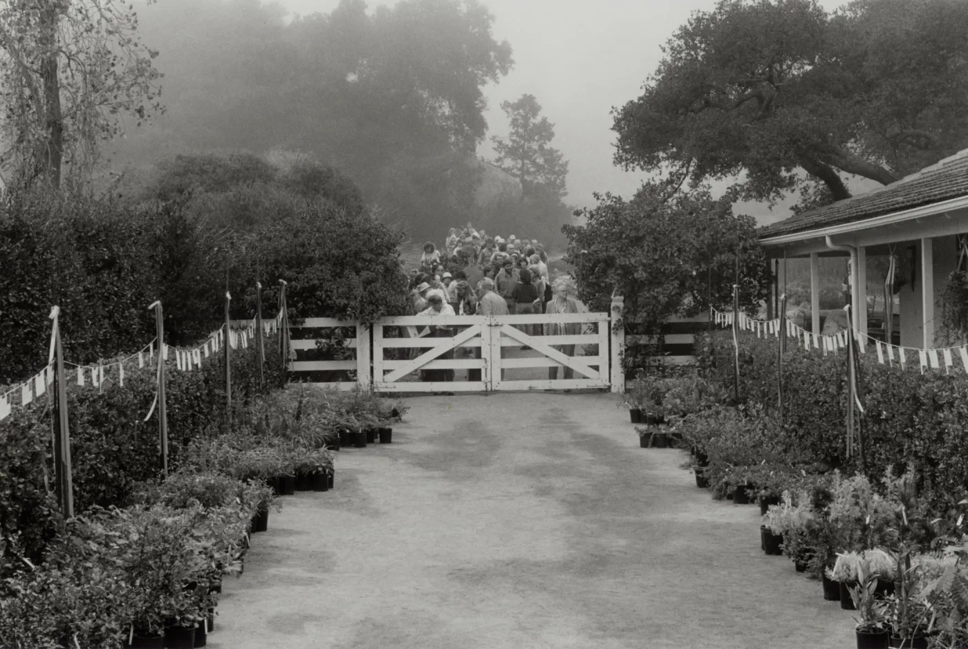 waiting for the gate to open, Spring Plant Sale, SBBG Courtyard