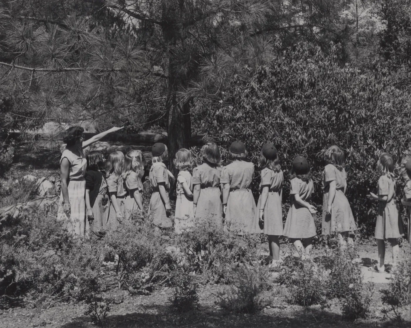 Children in the Garden, Girl Scouts