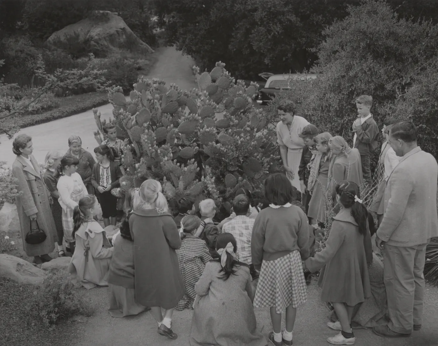 Children in the Garden, McKinley School Third Grade, 1956