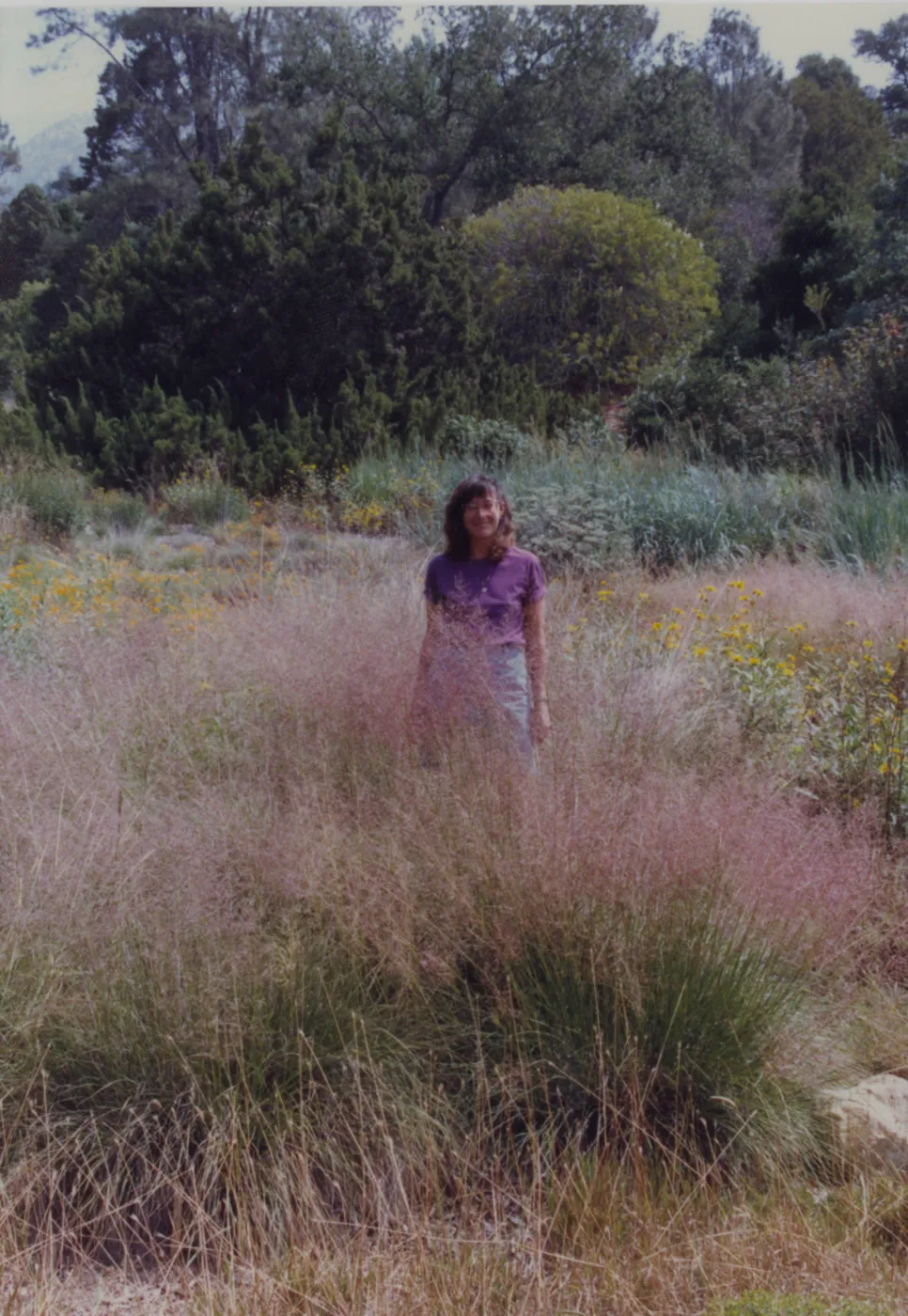 Carol Bornstein in Meadow with Sporobolus airoides