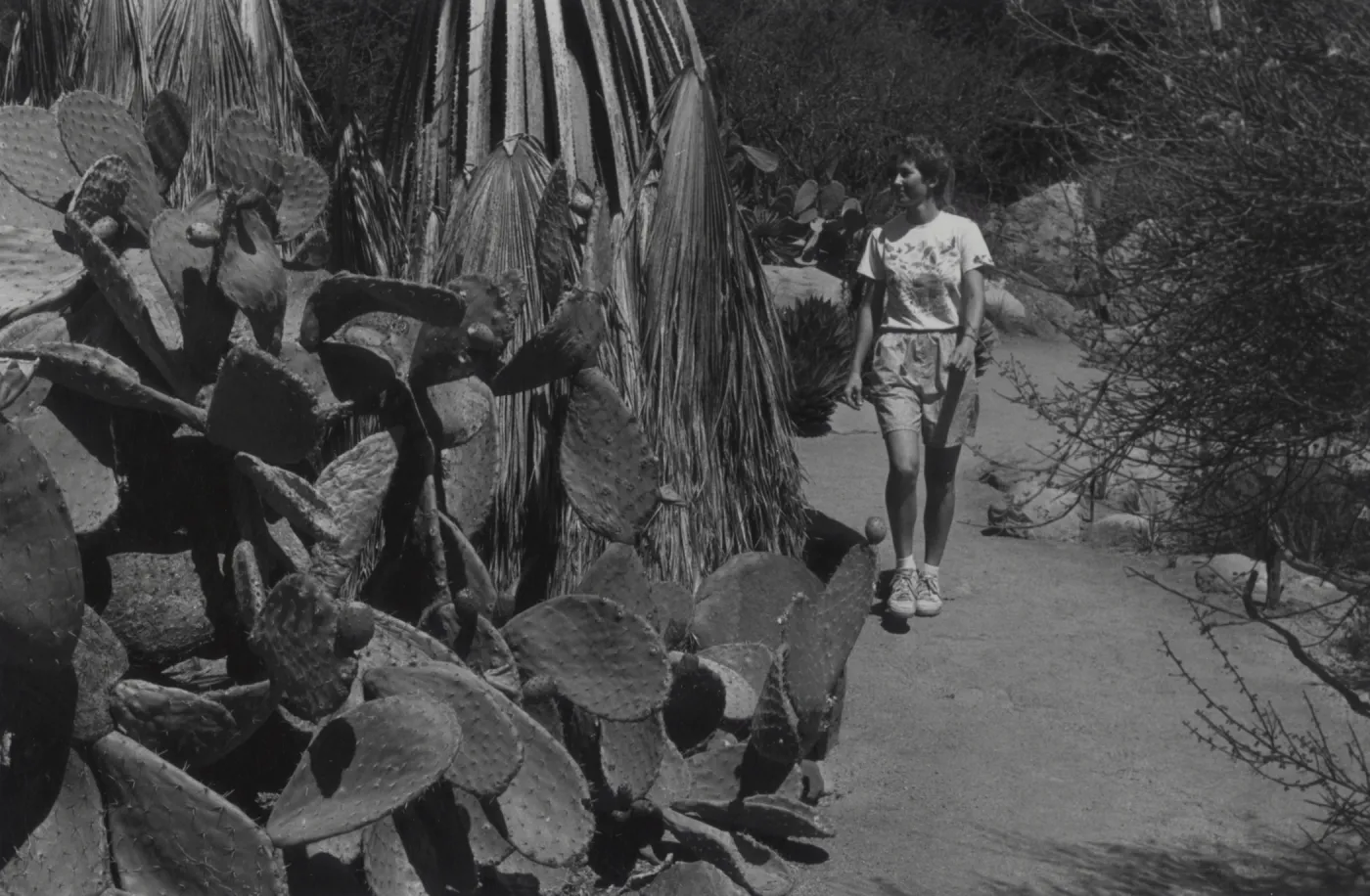 Brett Lumbley in Desert Section