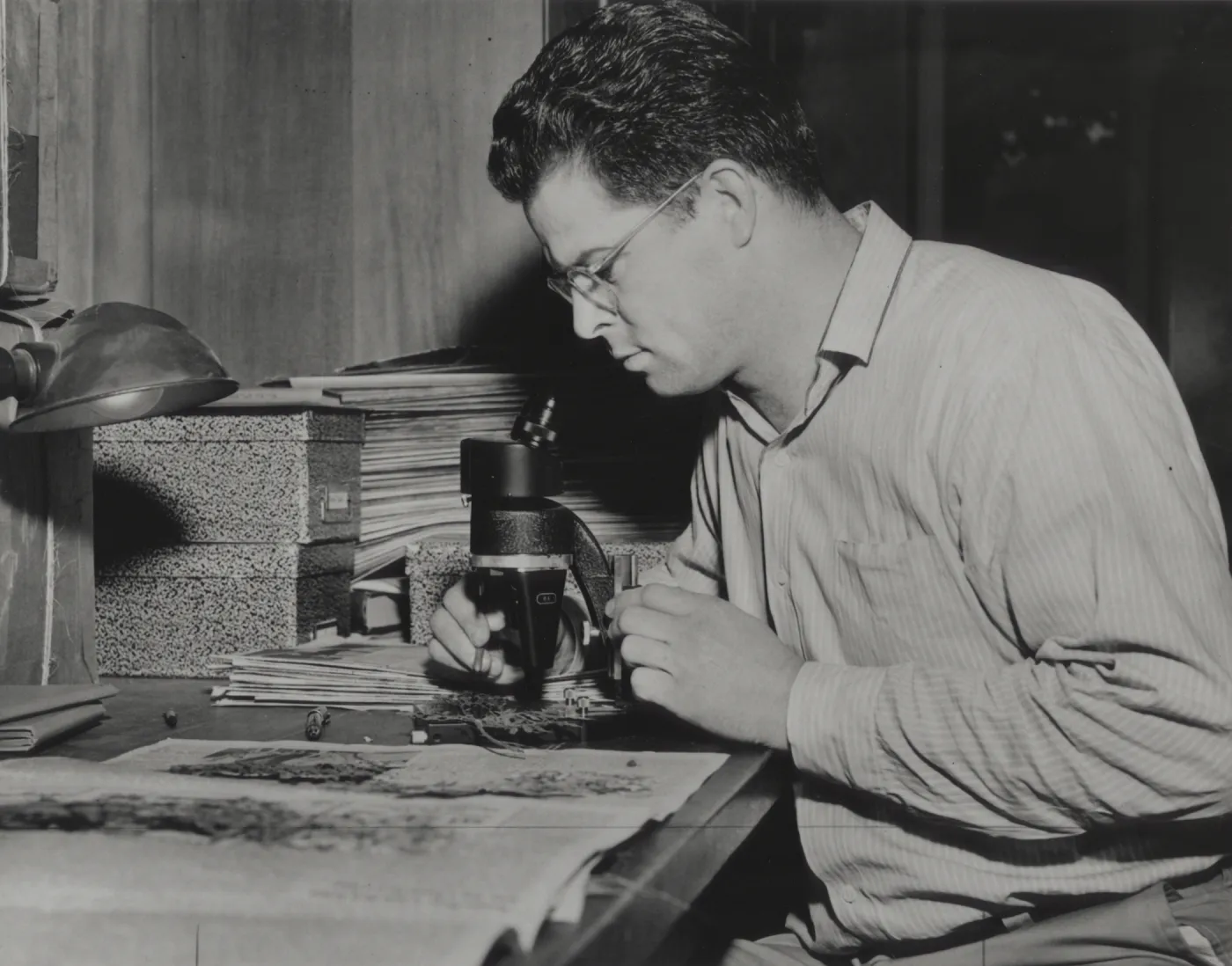 Clifton Smith reviewing herbarium specimen