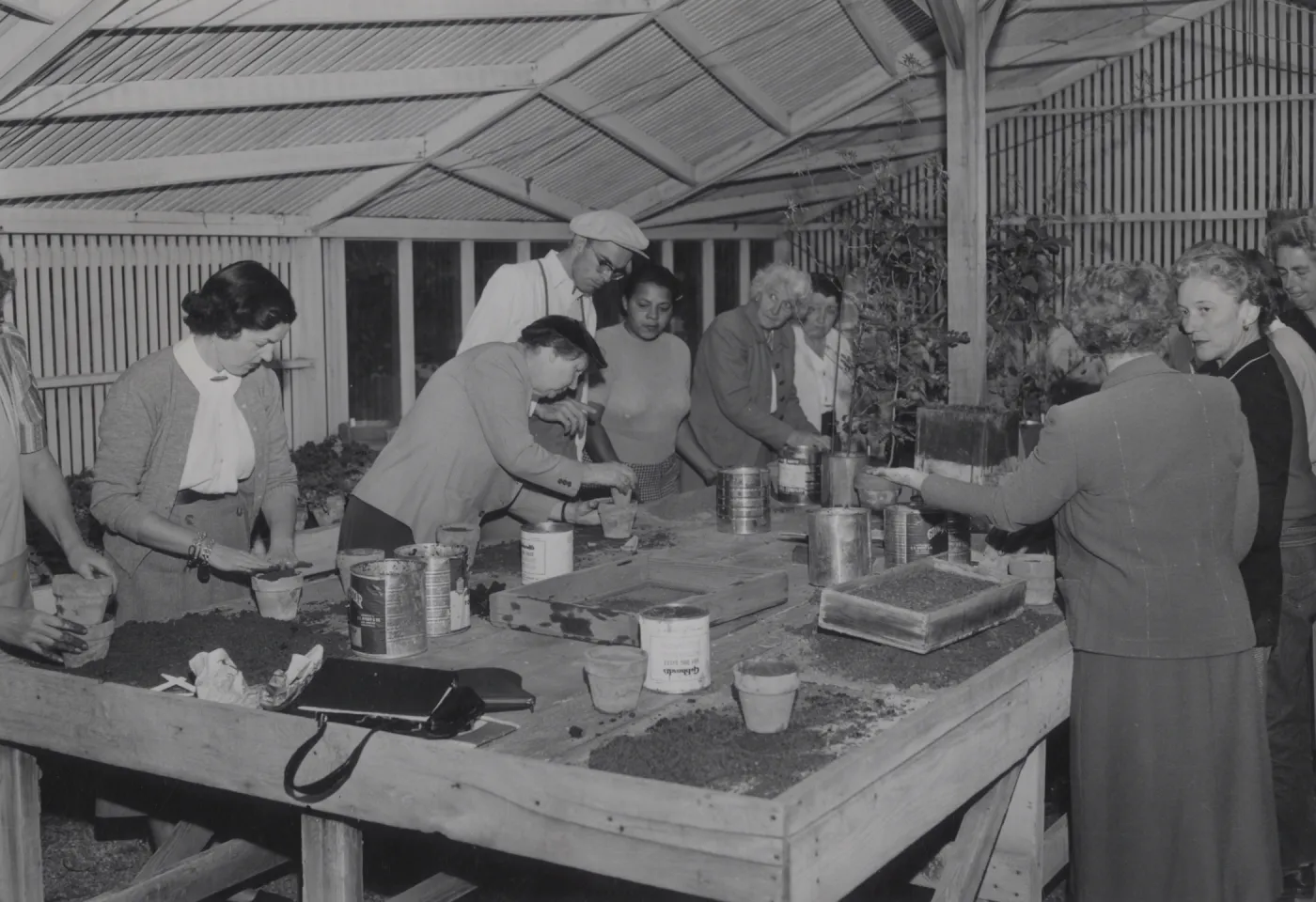 Propagation Class, Fall 1955