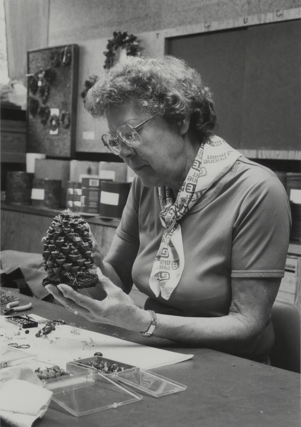 Garden Guild pinecone craft