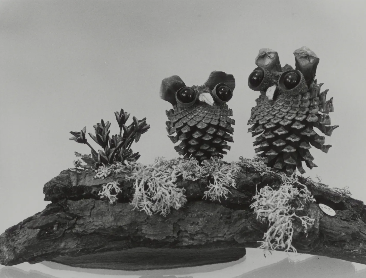 Garden Guild 'Owls' artwork