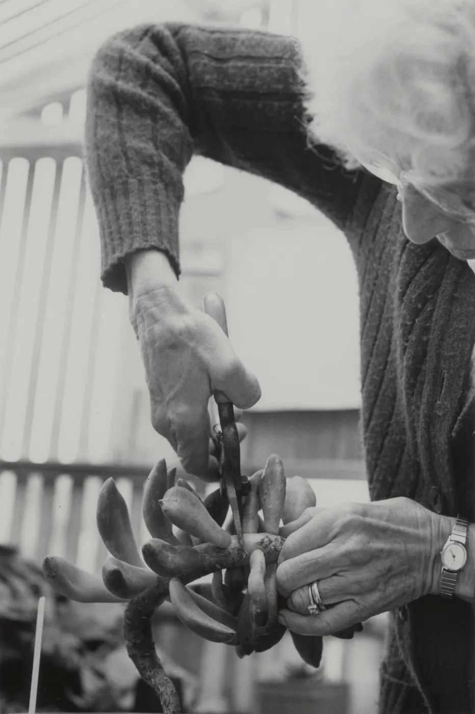 Garden Growers, Mae Blakley