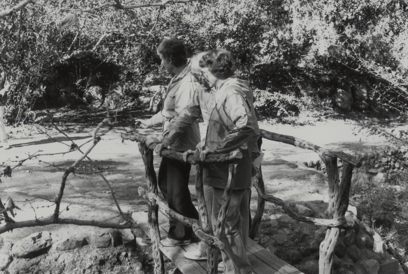 Docent tour on the Old Mission Dam