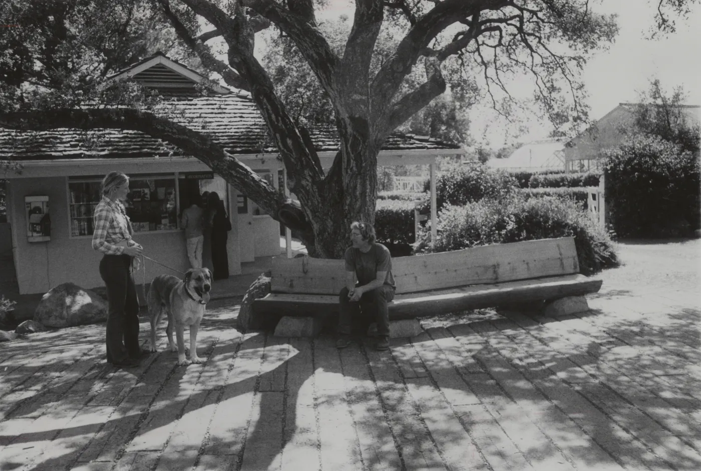 Garden entrance oak and Gift Shop, 1977