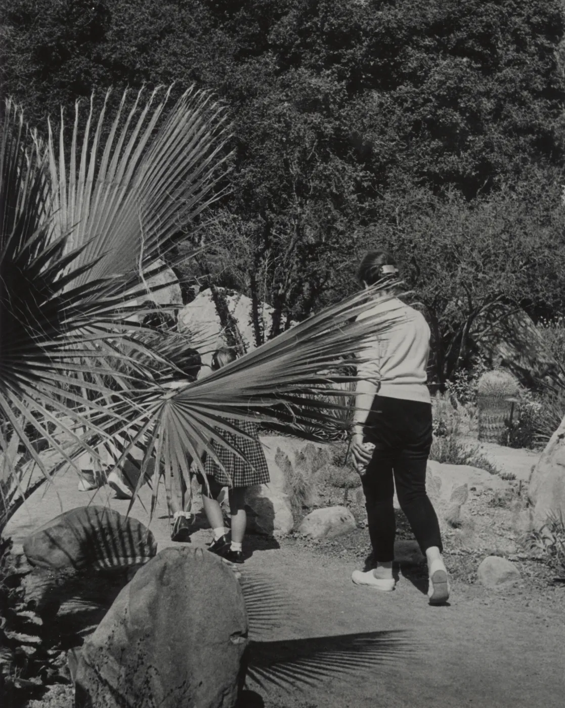 visitors in the Garden