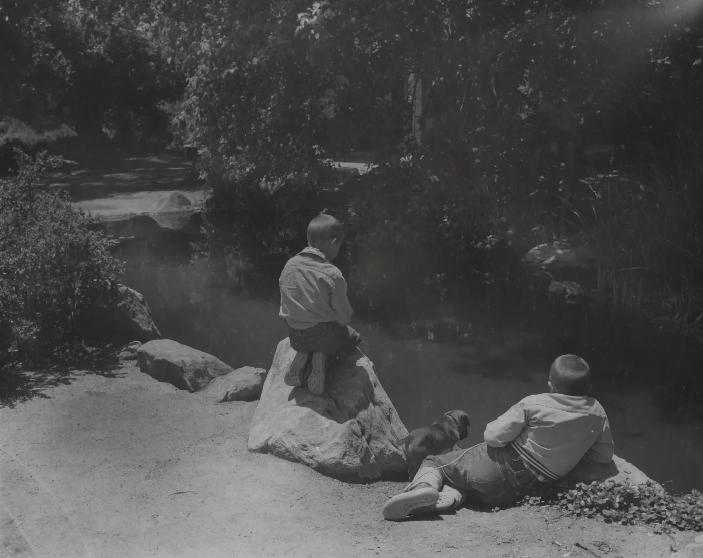 two boys with puppy at the pond