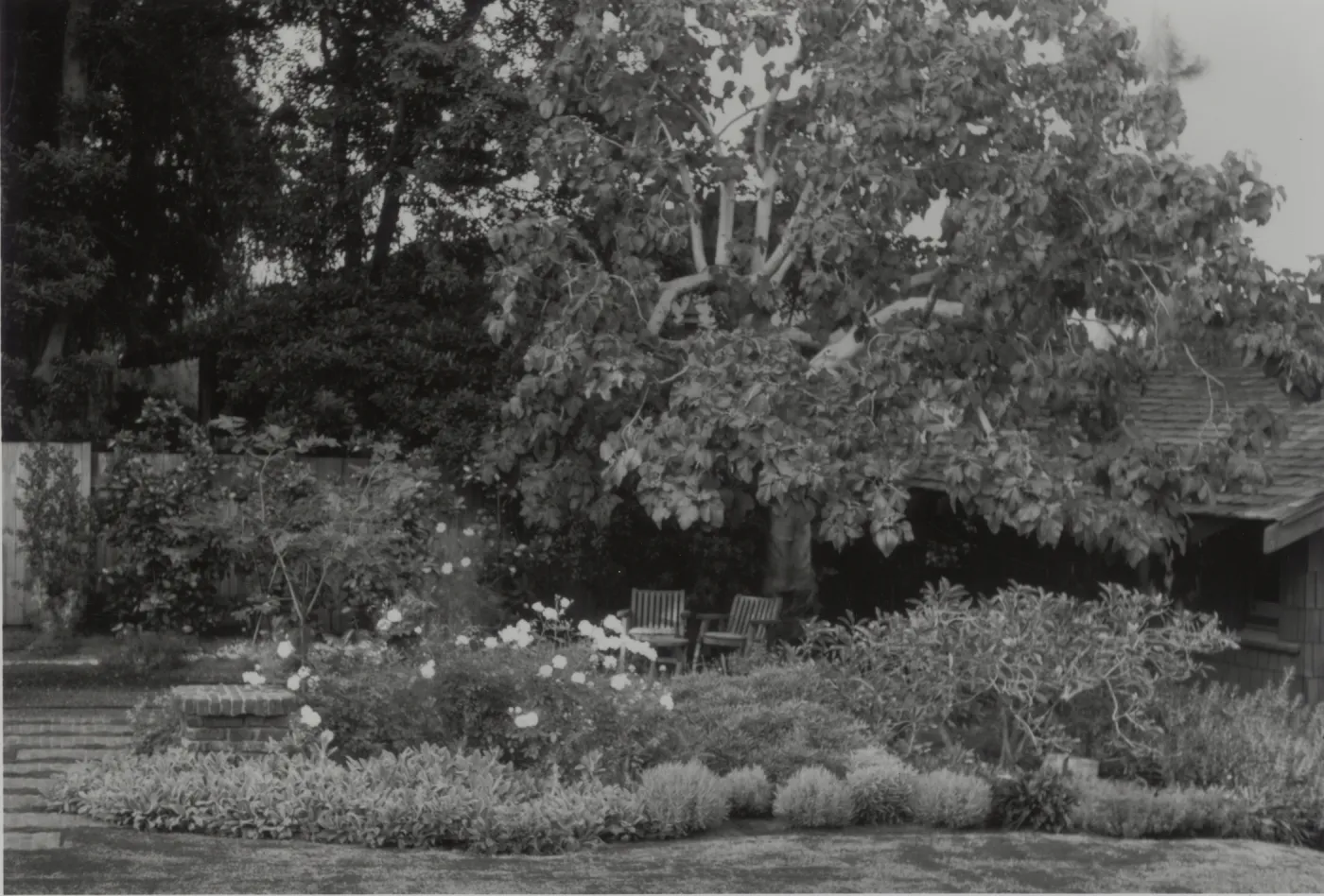 garden of Henry Greene residence in Pasadena