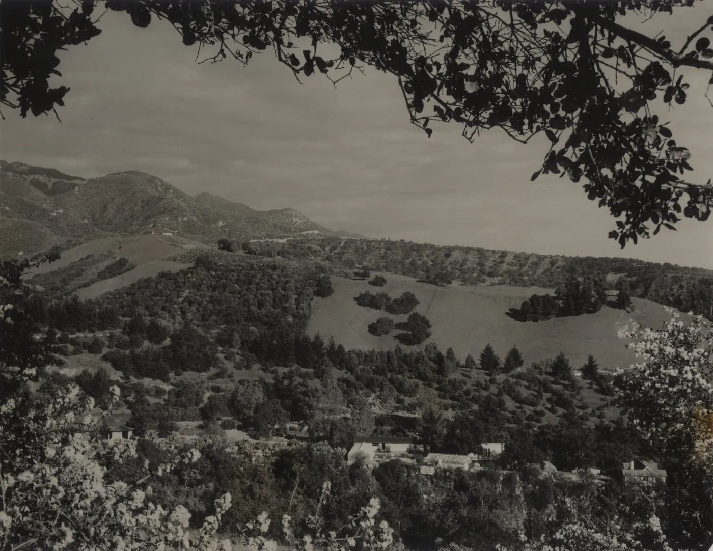 Eastern slope of Mission Canyon