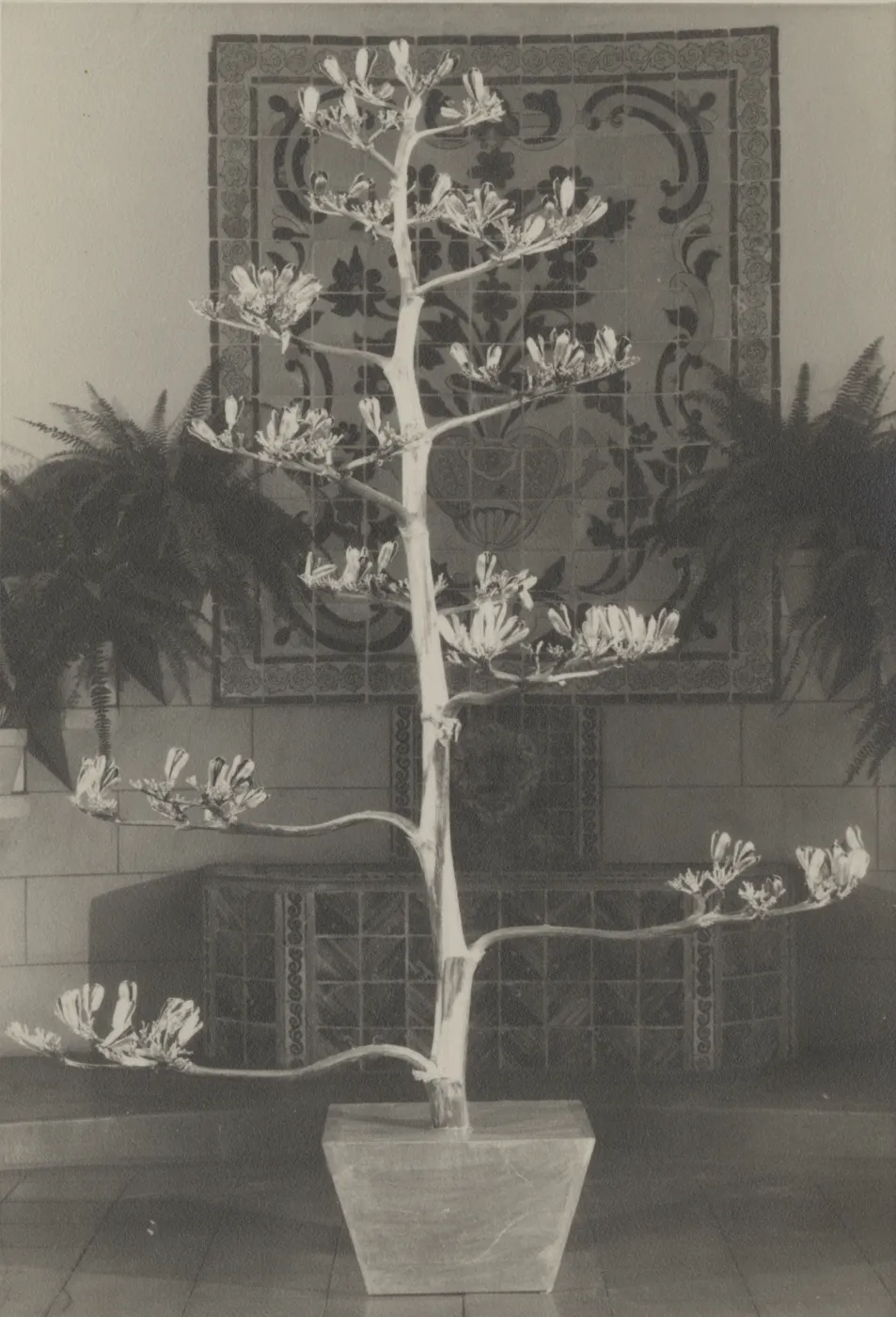 SB Museum of Natural History