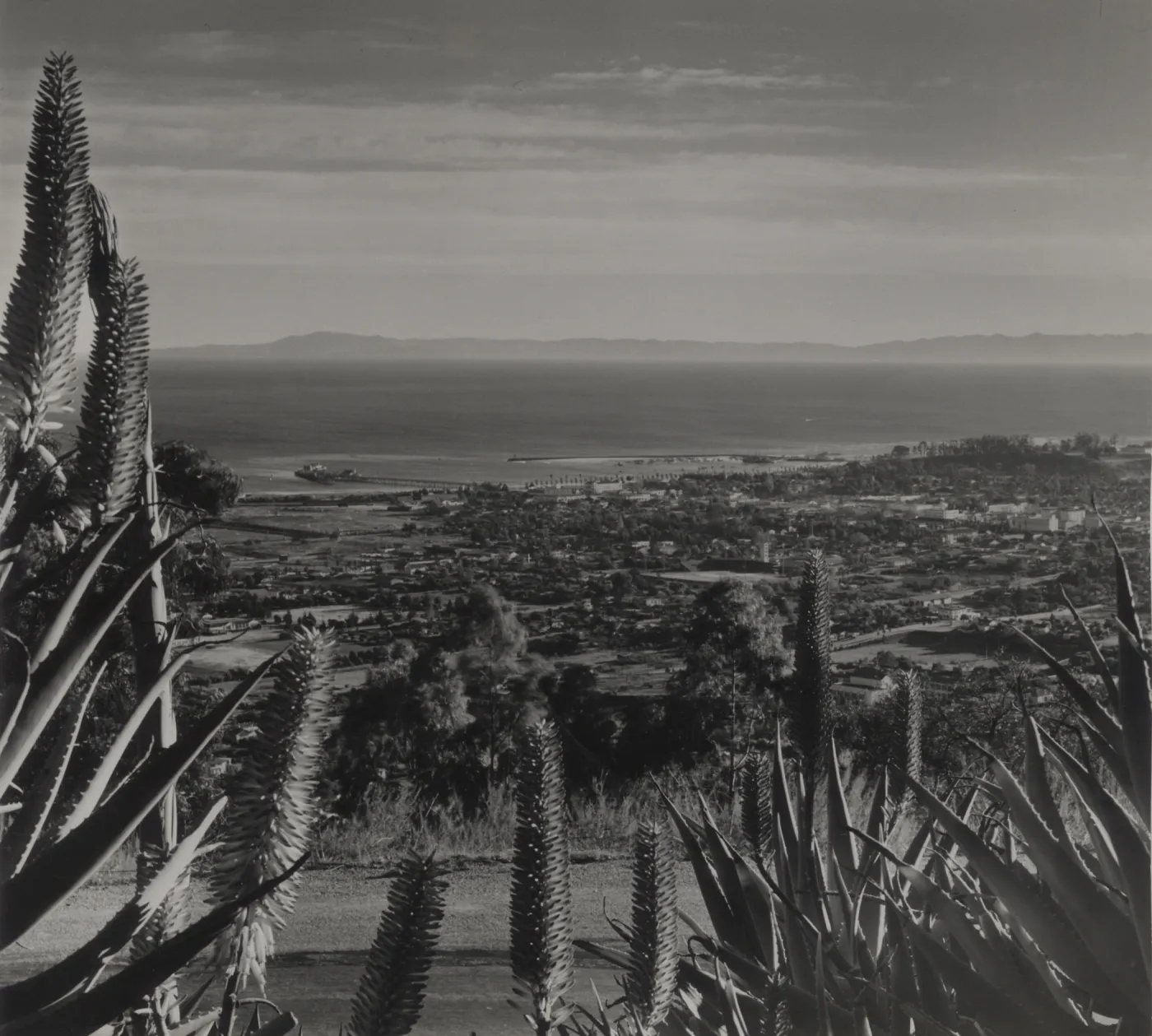 Santa Barbara and Santa Barbara Harbor from the Riviera