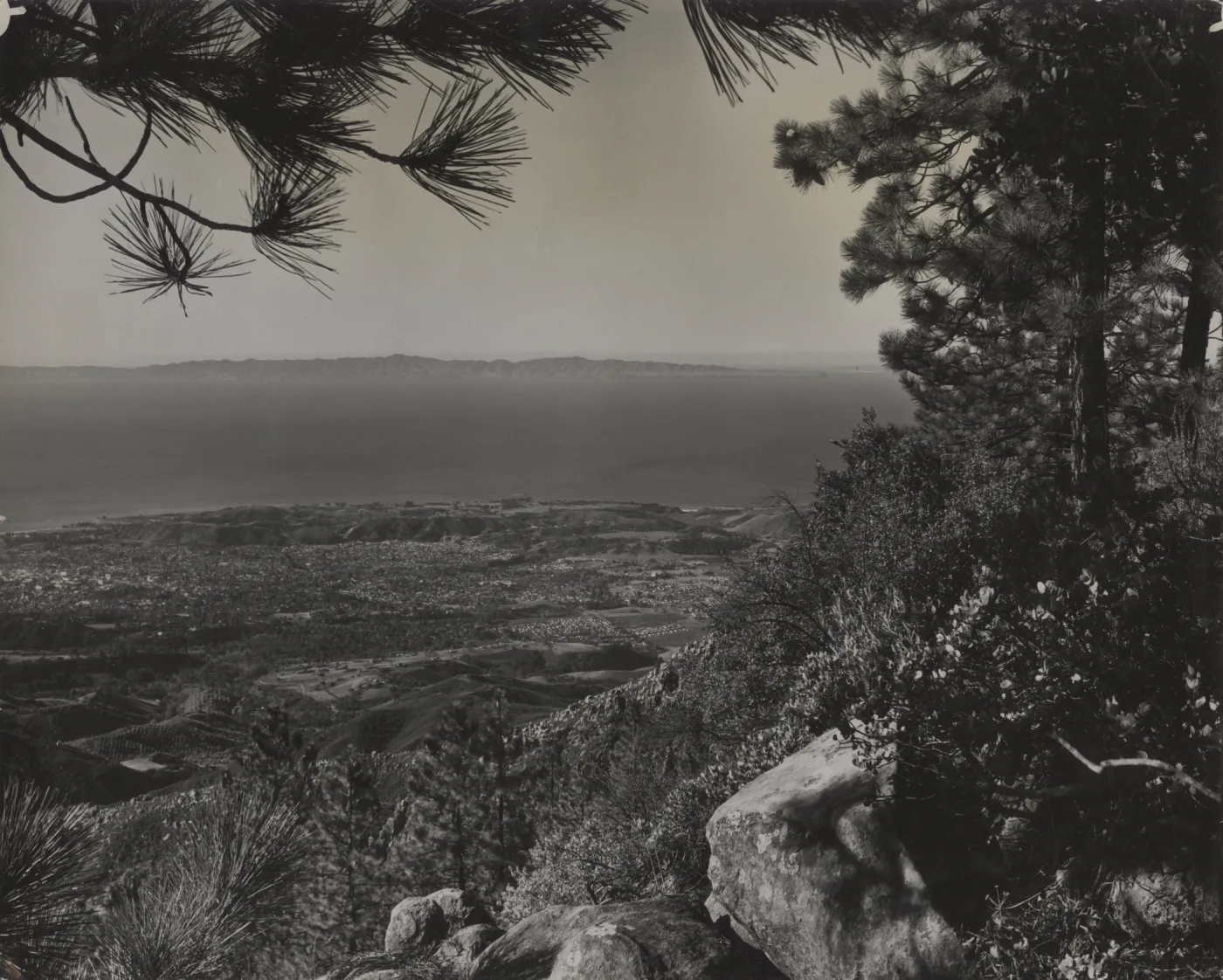 The coast at Santa Barbara from La Cumbre Peak, with Santa Cruz Island in the background, Eastwood manzanita and Coulter pine in the foreground