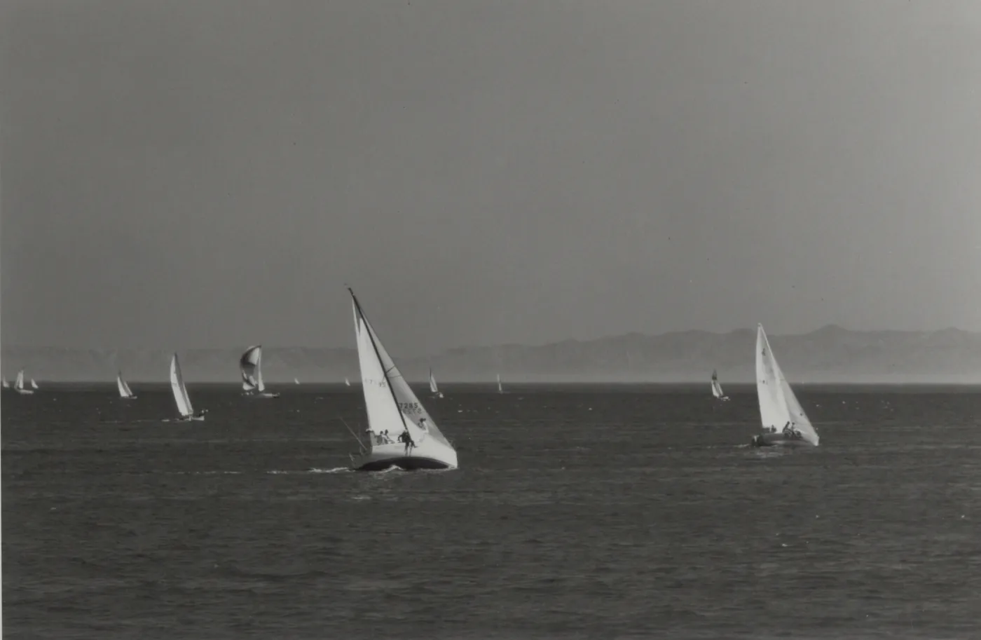sailboats in the Santa Barbara Channel