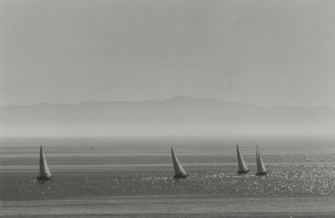 sailboats in the Santa Barbara Channel