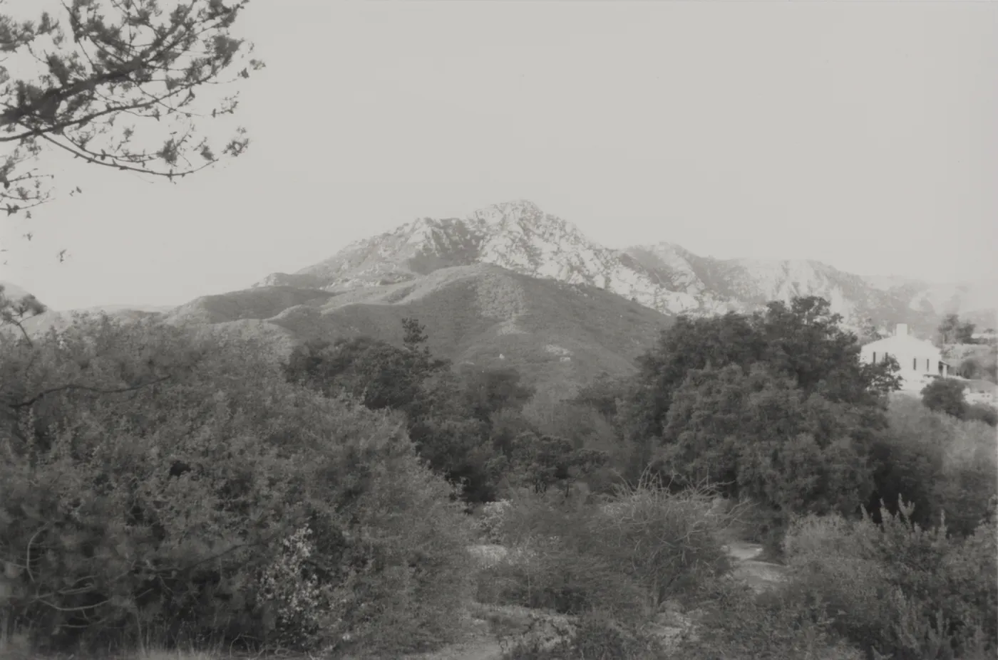 SBBG Porter trail and view to Arlington Peak