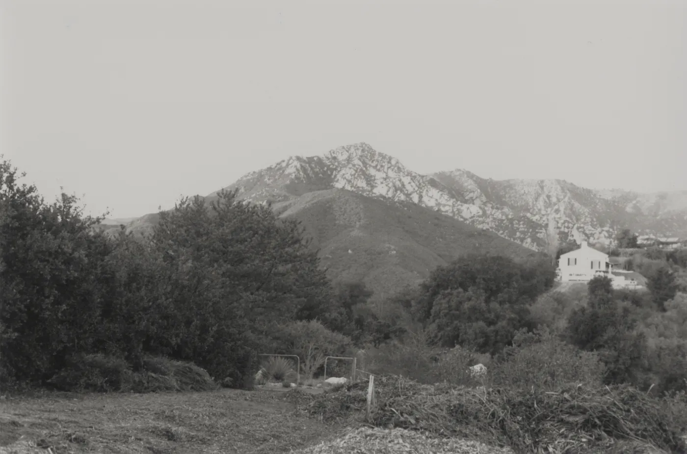 SBBG chip pile and view to Arlington Peak