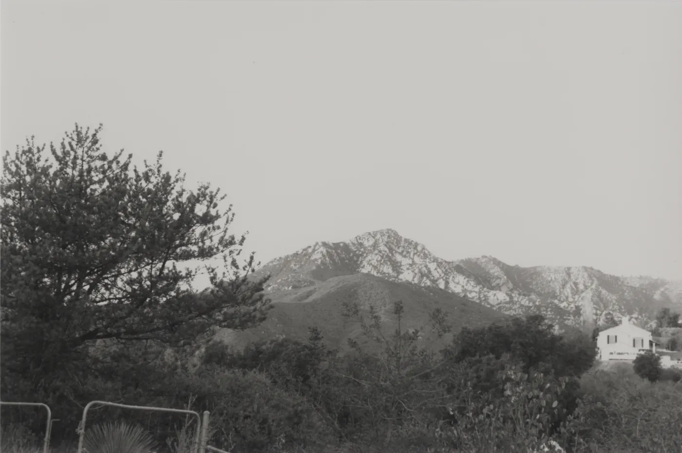 view of La Cumbre & Arlington Peaks from SBBG Porter Trail and chip pile