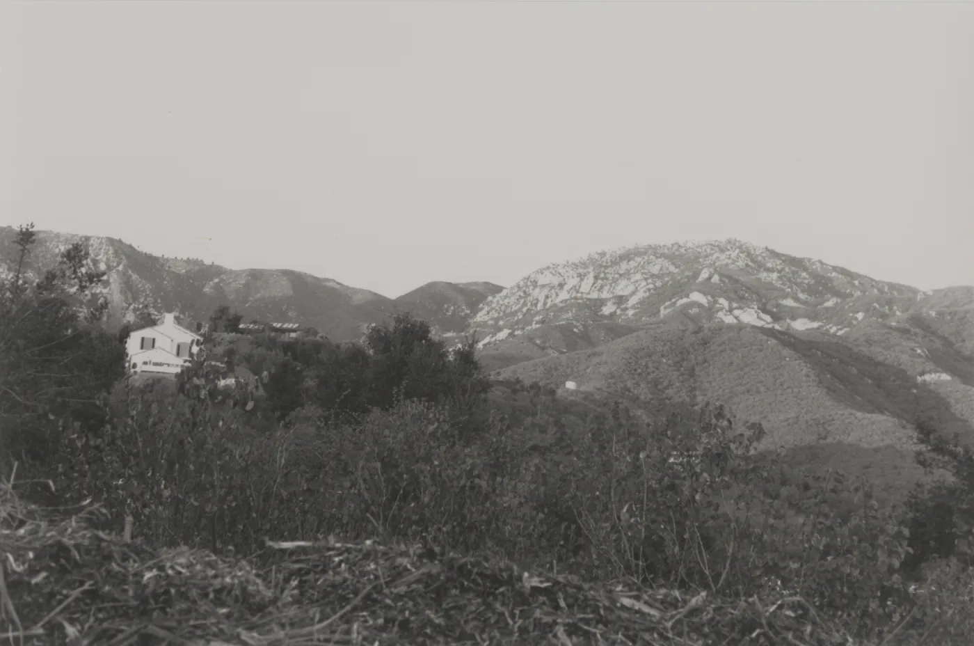 Upper Mission Canyon and White Mountain