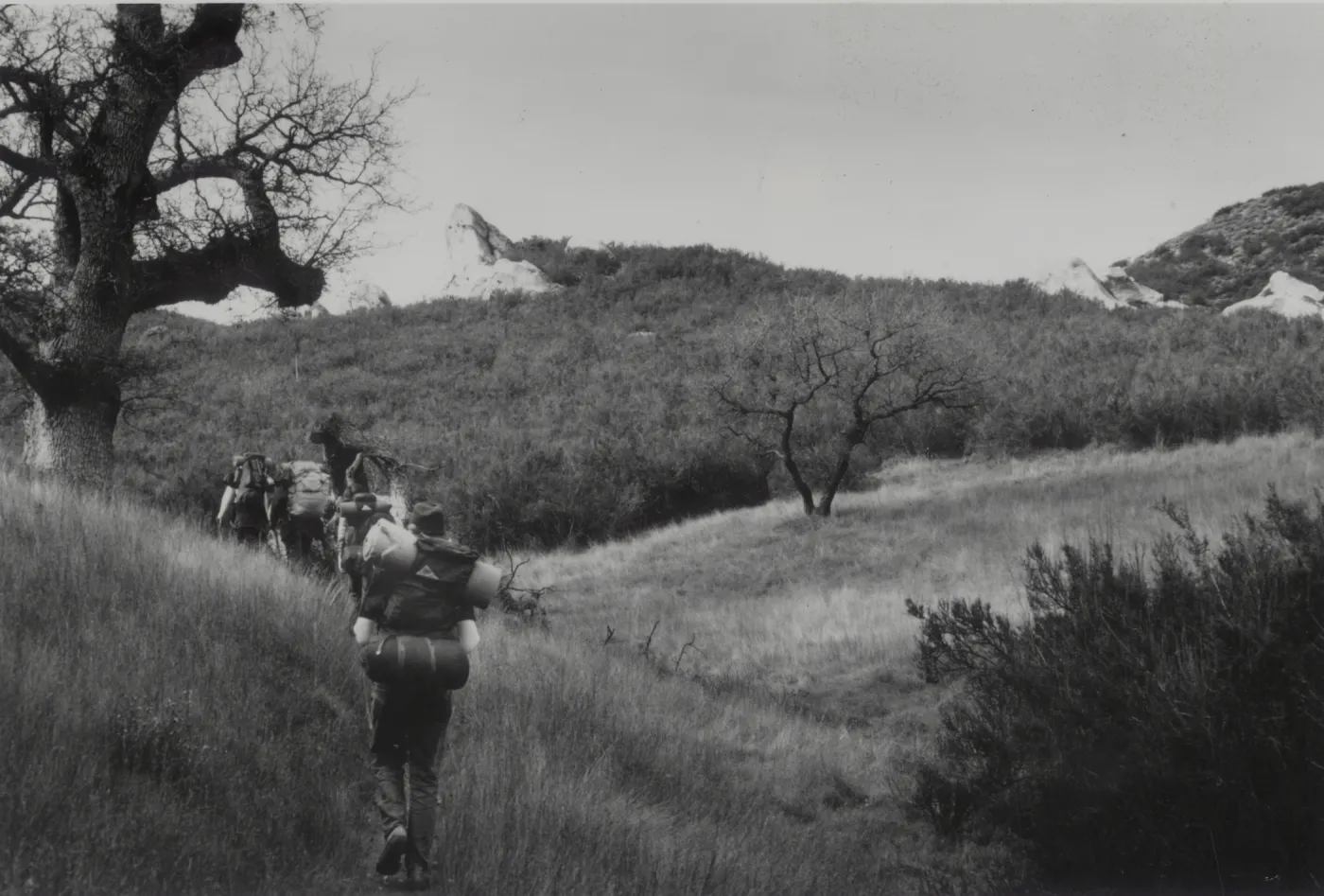 SBBG backcountry backpack trip, near Manzana River, Los Padres National Forest