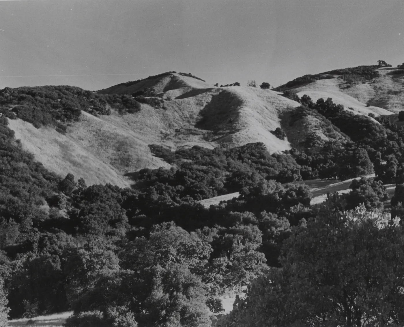 Romo Potrero, above Santa Cruz Camp