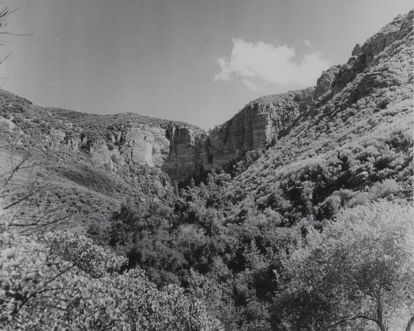 Falls Canyon Escarpment