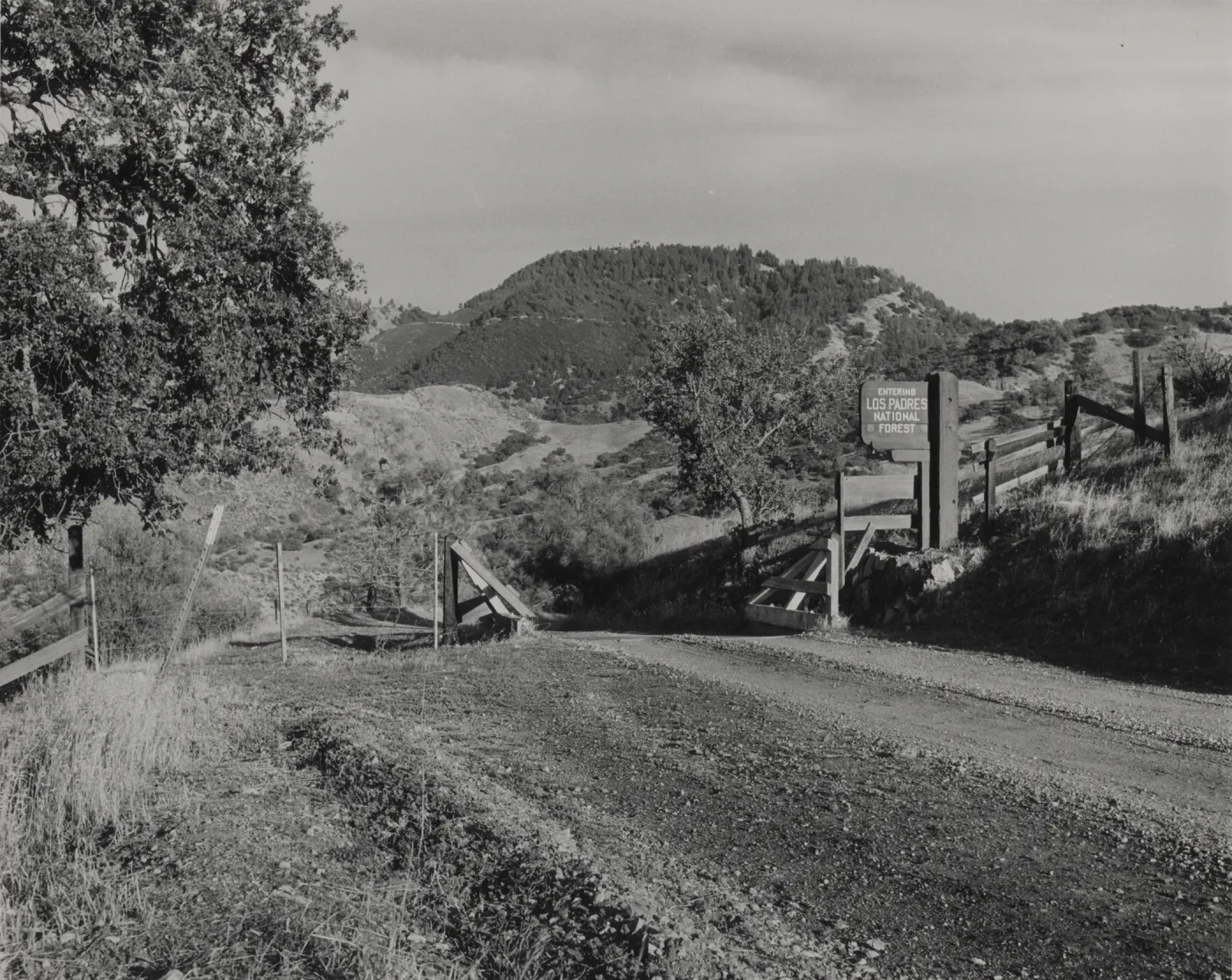 road to Figueroa Mountain Road
